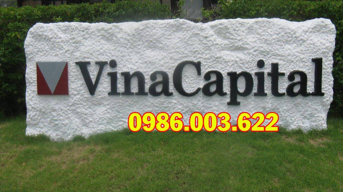 Vina Capital